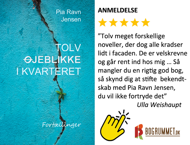 andmeldelse fra Bogrummet "Tolv øjeblikke i kvarteret"